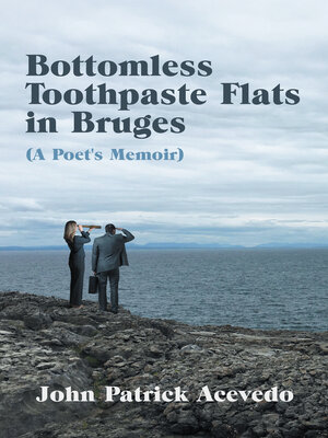 cover image of Bottomless Toothpaste Flats in Bruges (A Poet's Memoir)
